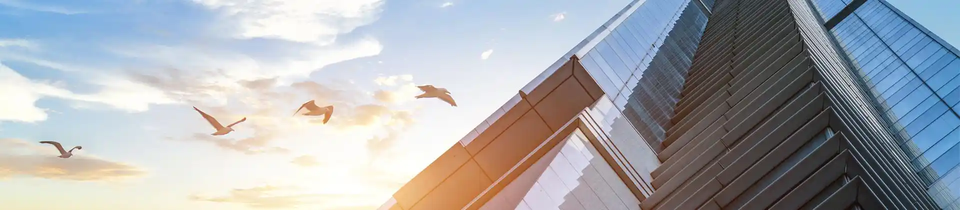 安徽麦迪林科技有限公司